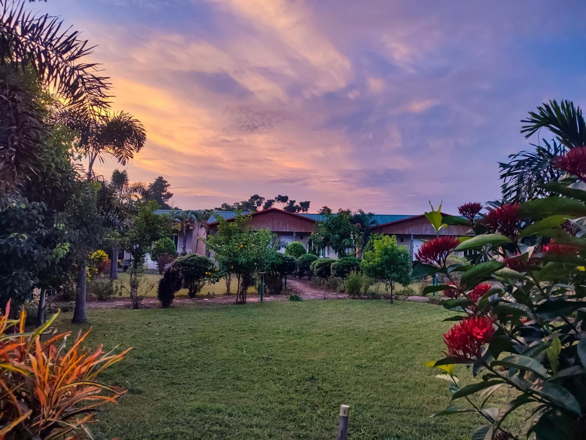Greenland Safari, Sauraha Exterior foto