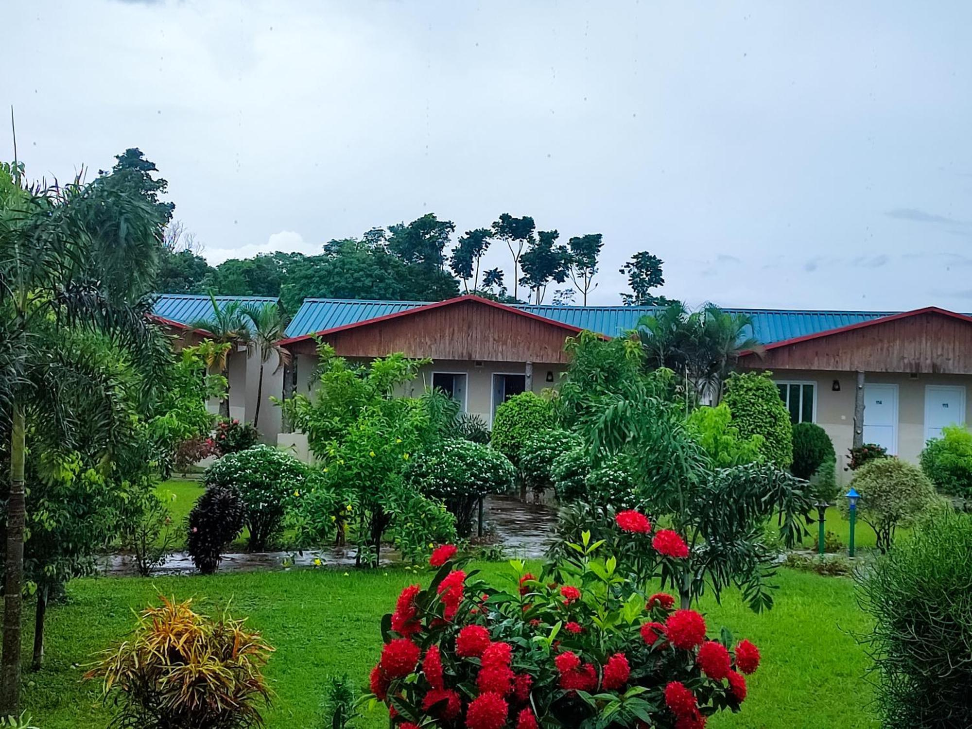 Greenland Safari, Sauraha Exterior foto